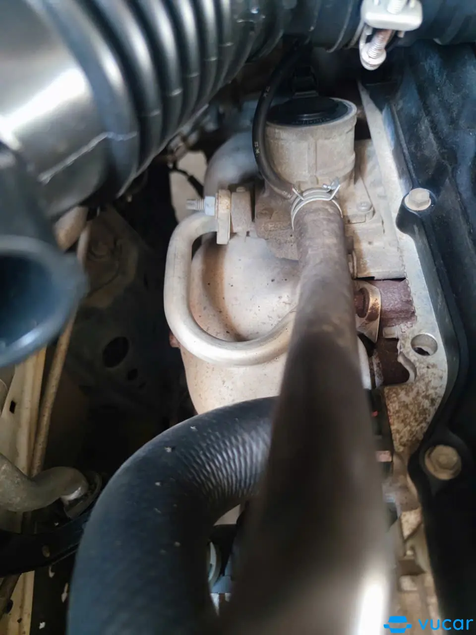 ford everest titanium 2018 - Gầm & khung xe 1