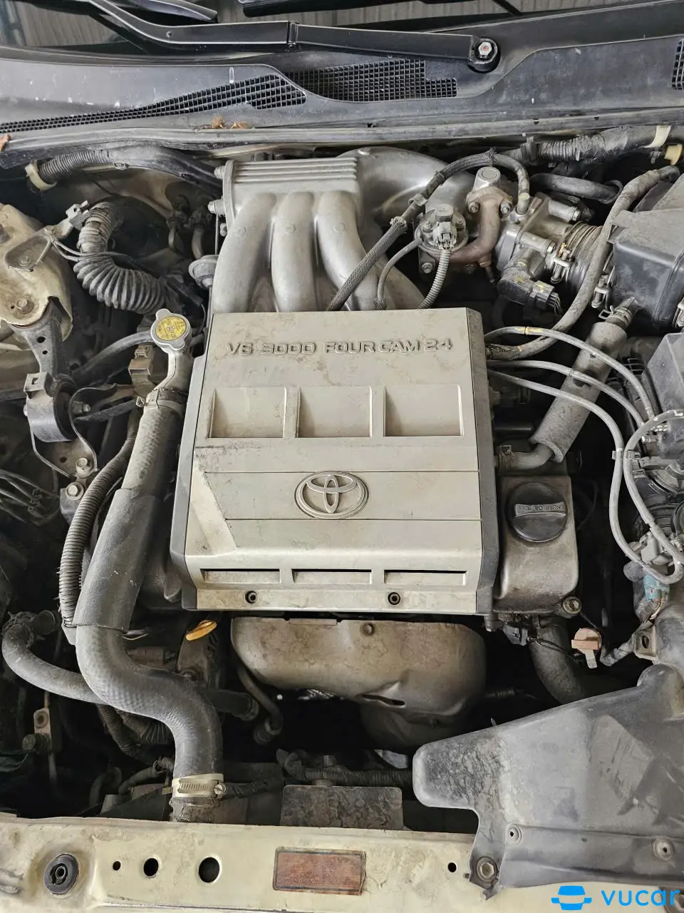 Toyota Camry 3.0 v6 2004 - Khoang động cơ 3