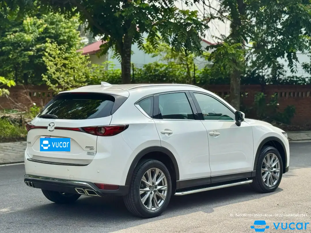 Ảnh xe Ford Territory Titanium 1.5 AT 2026 - ảnh 5