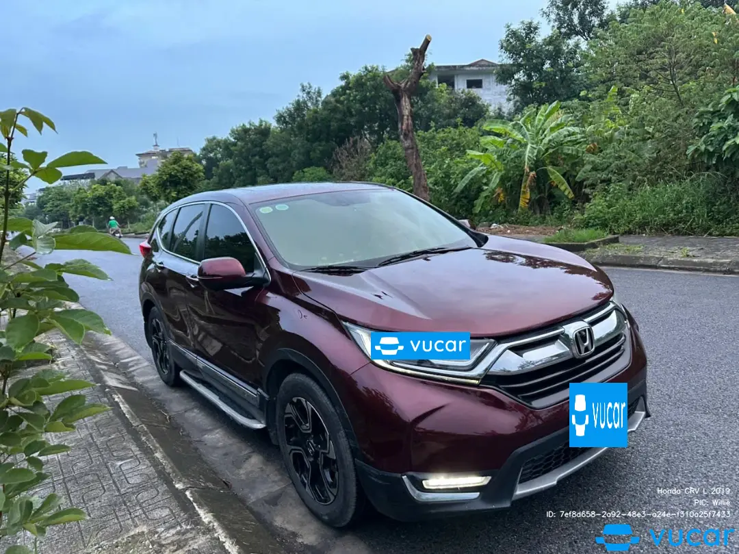 Ảnh xe Honda CRV L 2019 - ảnh 2