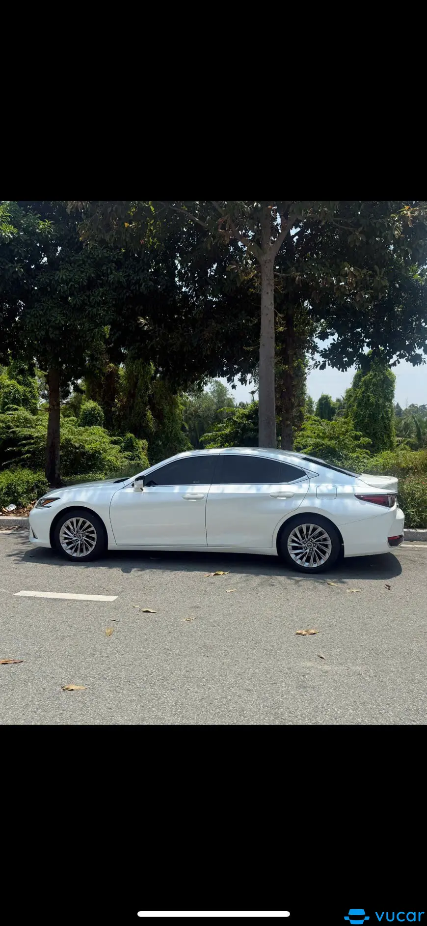 Lexus ES 300h 2023 - Ngoại thất 8