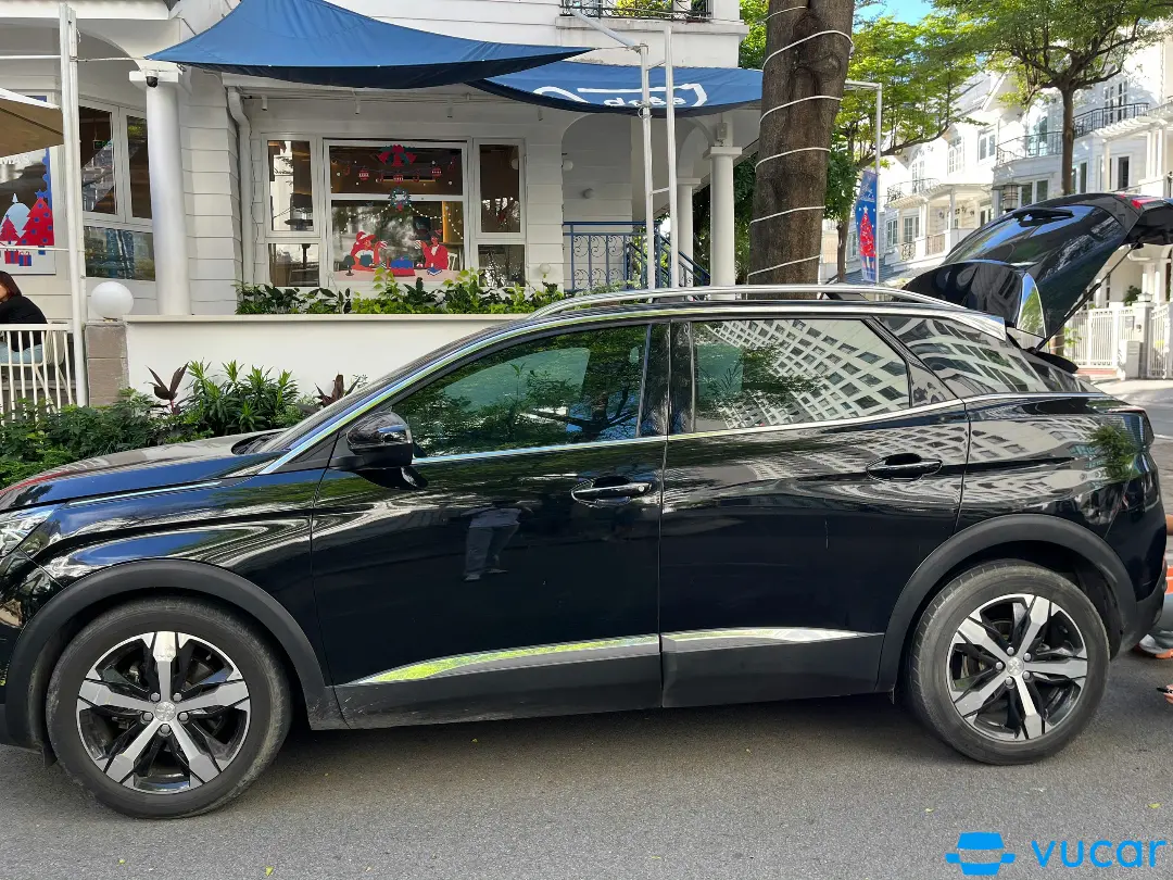 Peugeot 3008 1.6 AT 2019 - Ngoại thất 8