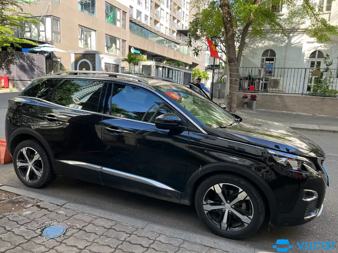 Peugeot 3008 1.6 AT 2019 - Ngoại thất 13