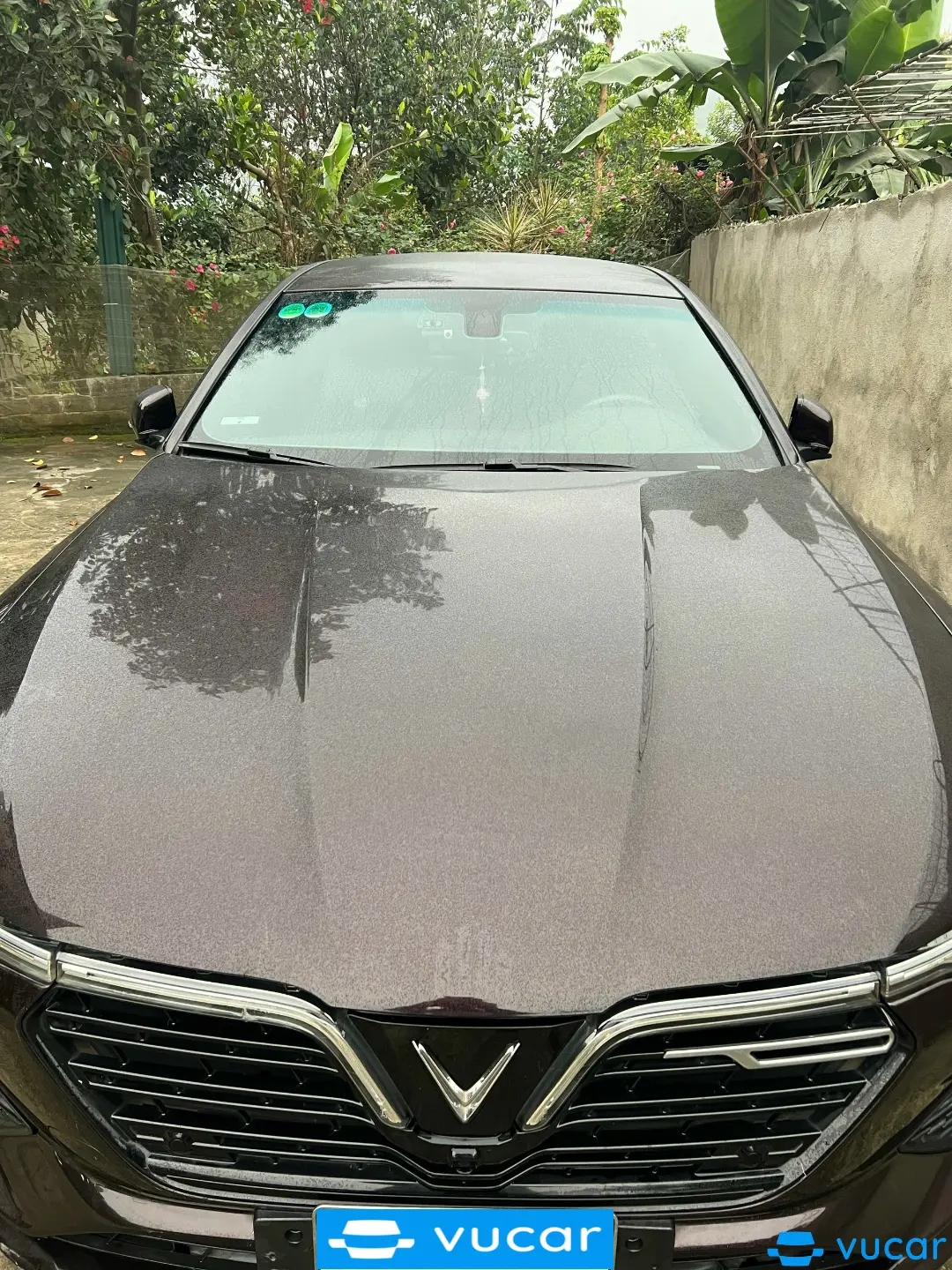 VinFast Lux a 2.0 2.0 AT 2020 - Ngoại thất 5
