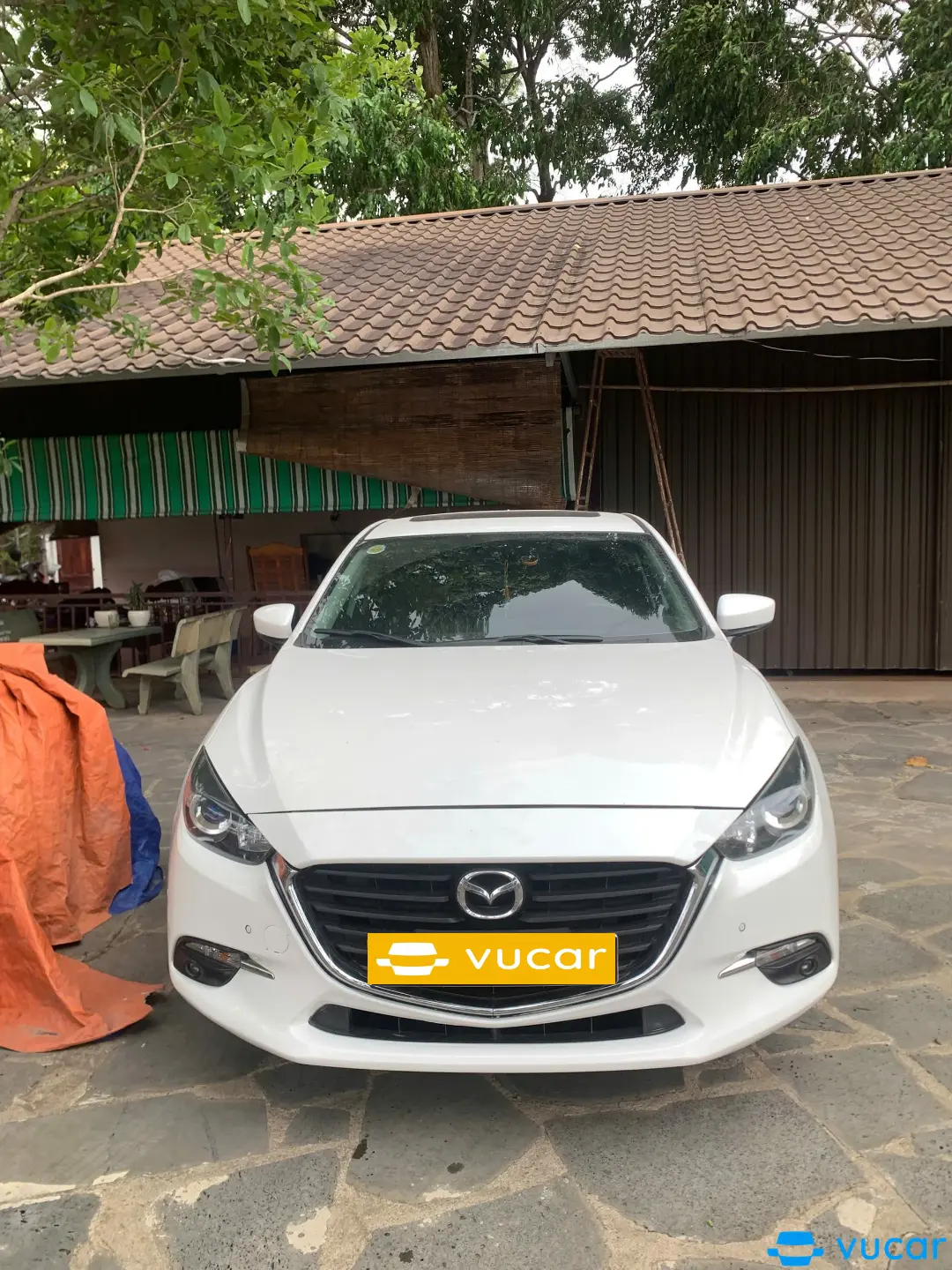 Ảnh xe Mazda 3 1.5AT Hatchback 2019
