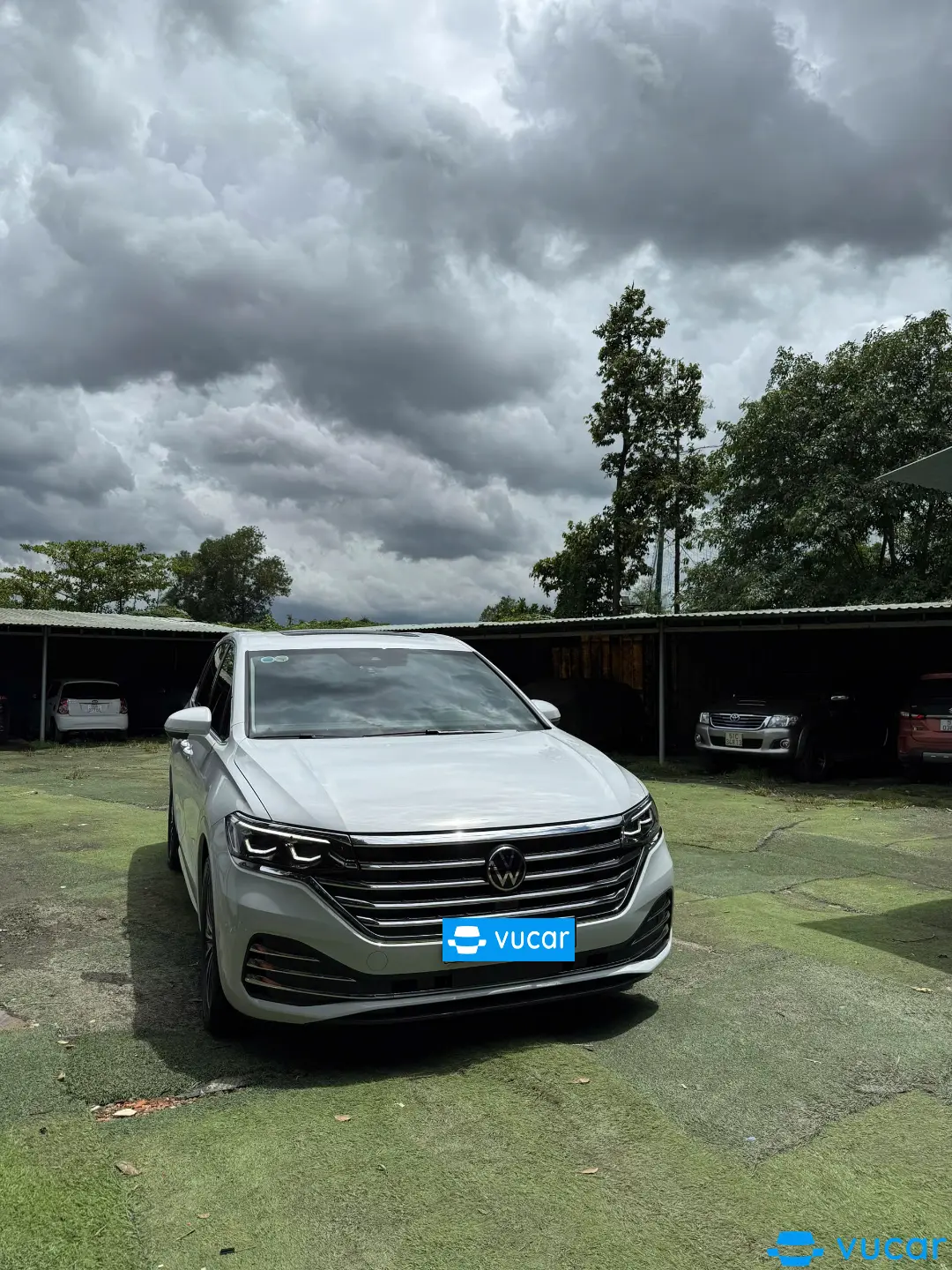 Volkswagen Viloran Luxury 2024 - Ngoại thất 1
