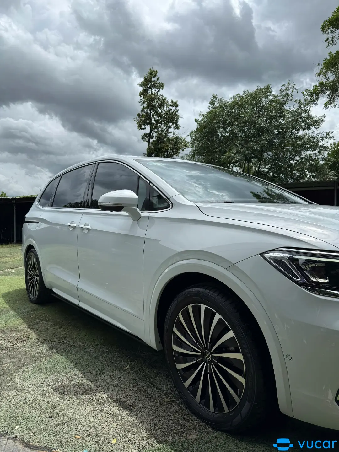 Volkswagen Viloran Luxury 2024 - Ngoại thất 6