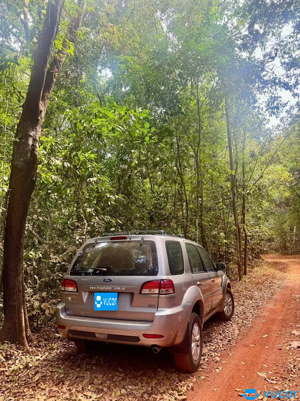 Ford 2009 - Ngoại thất 8