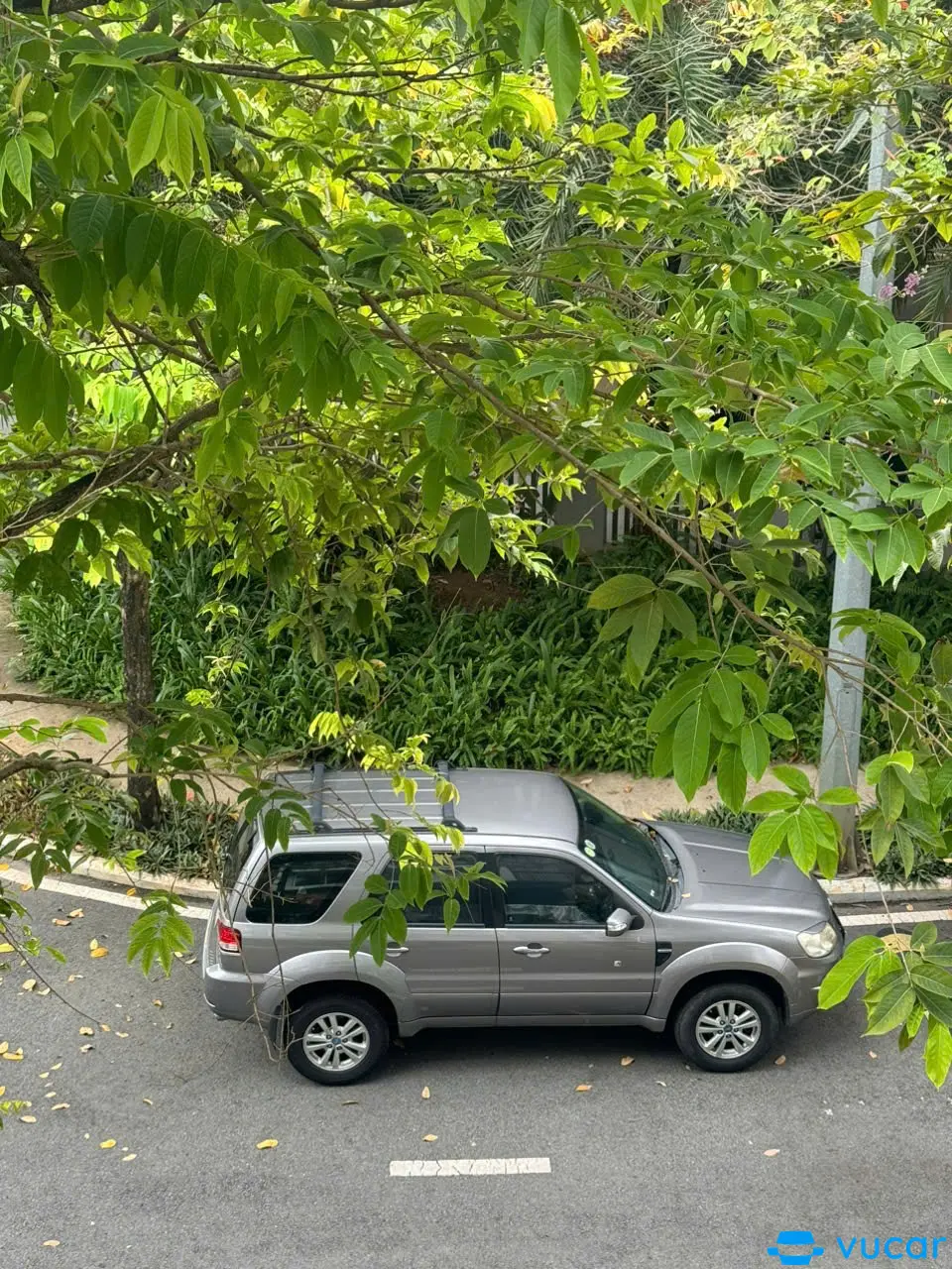 Ford 2009 - Ngoại thất 10
