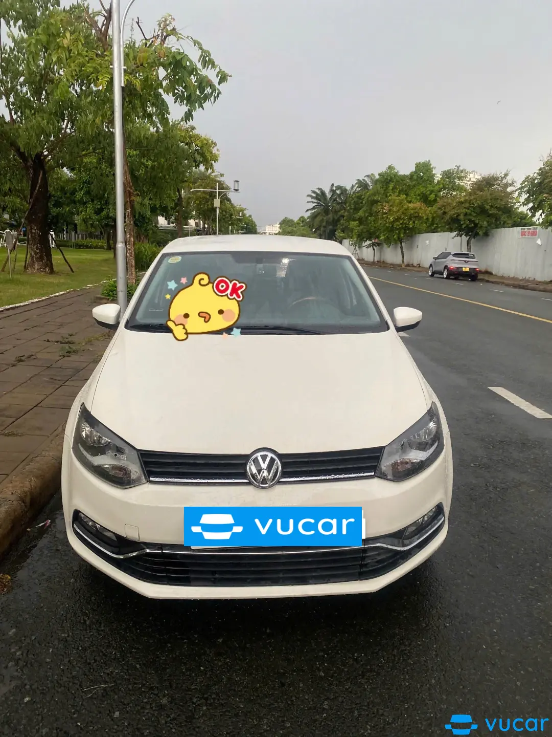 Ảnh xe Volkswagen Polo 1.6 AT 2016 - ảnh 6