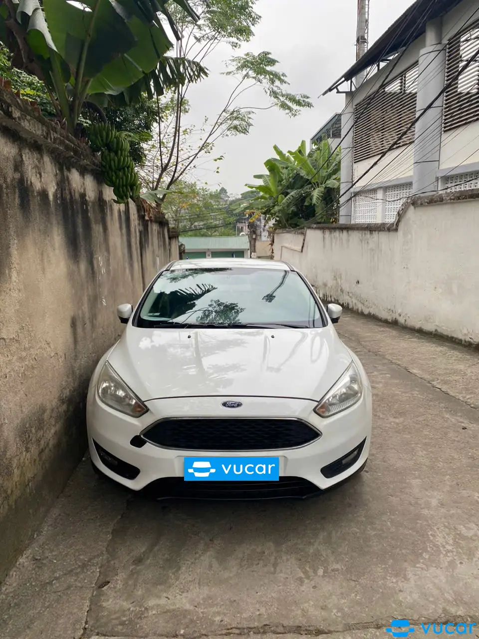 Ảnh xe Ford Focus Trend 1.5L 2017