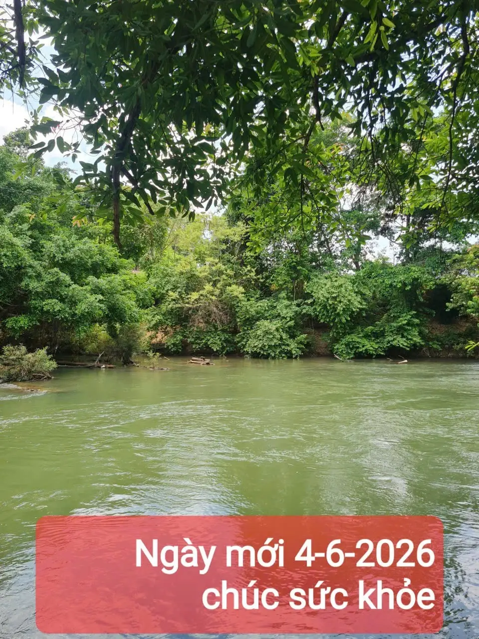 corana atist 2019 - Nội thất 2