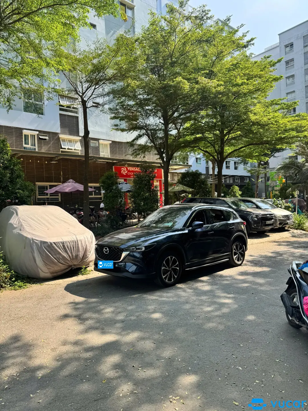 Ảnh xe Cx5 2024 deluxe