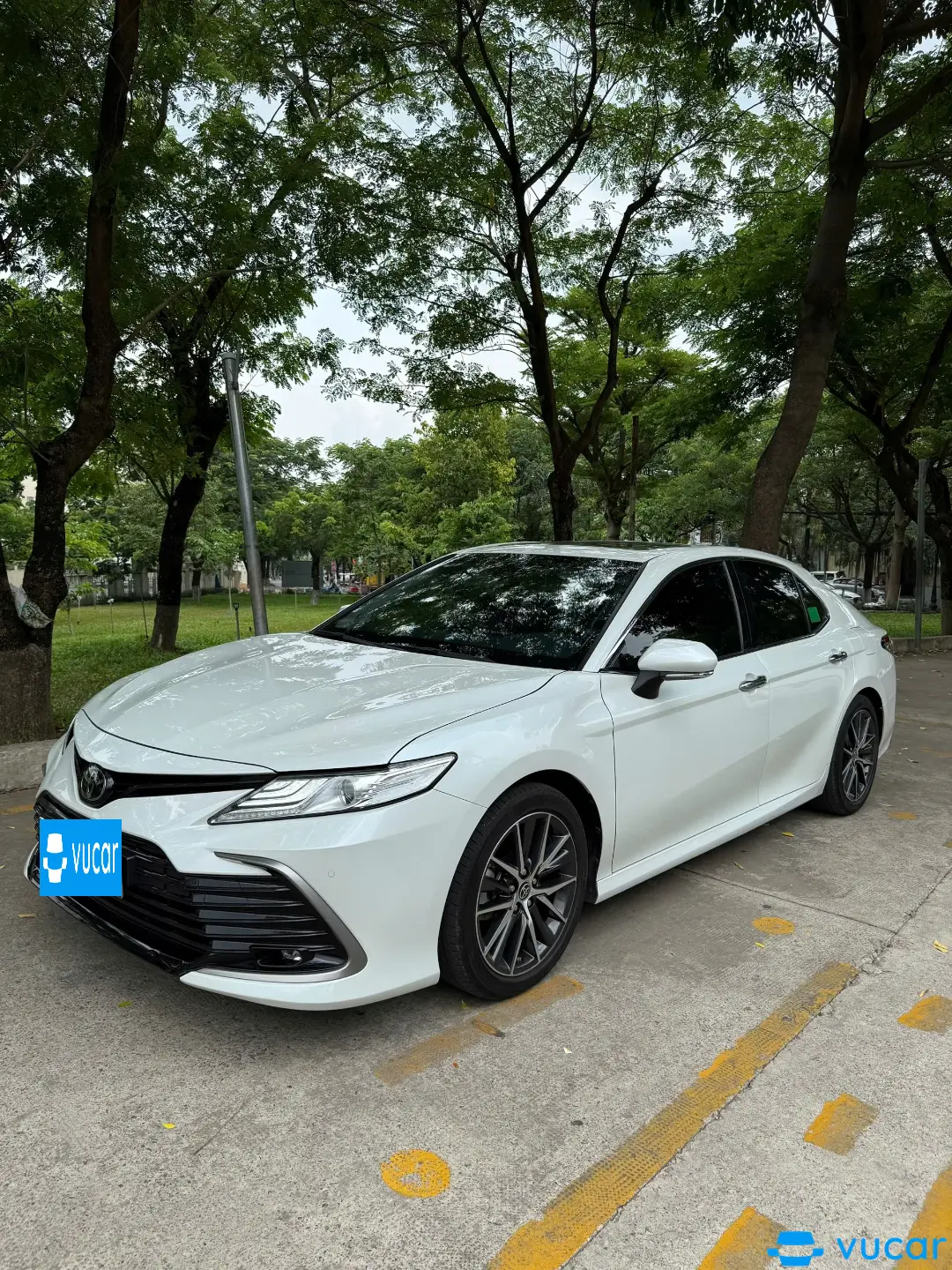 Toyota Camry 2.0Q 2024 - Ngoại thất 4