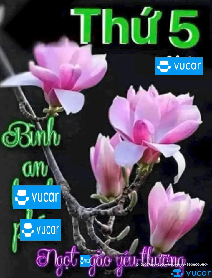 corana atist 2019 - Ngoại thất 6