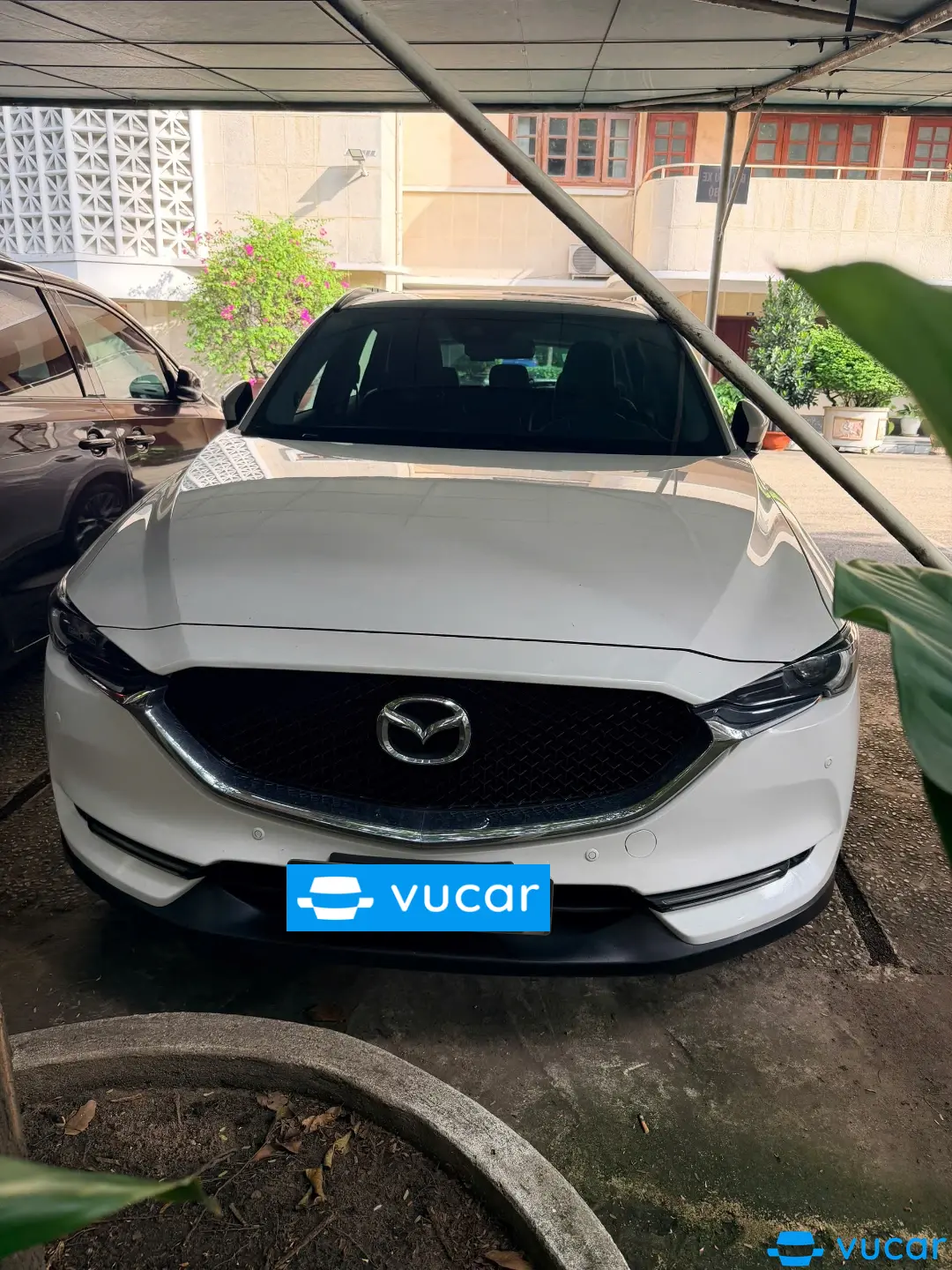 Mazda CX5 2.0 Premium 2019 - Ngoại thất 4