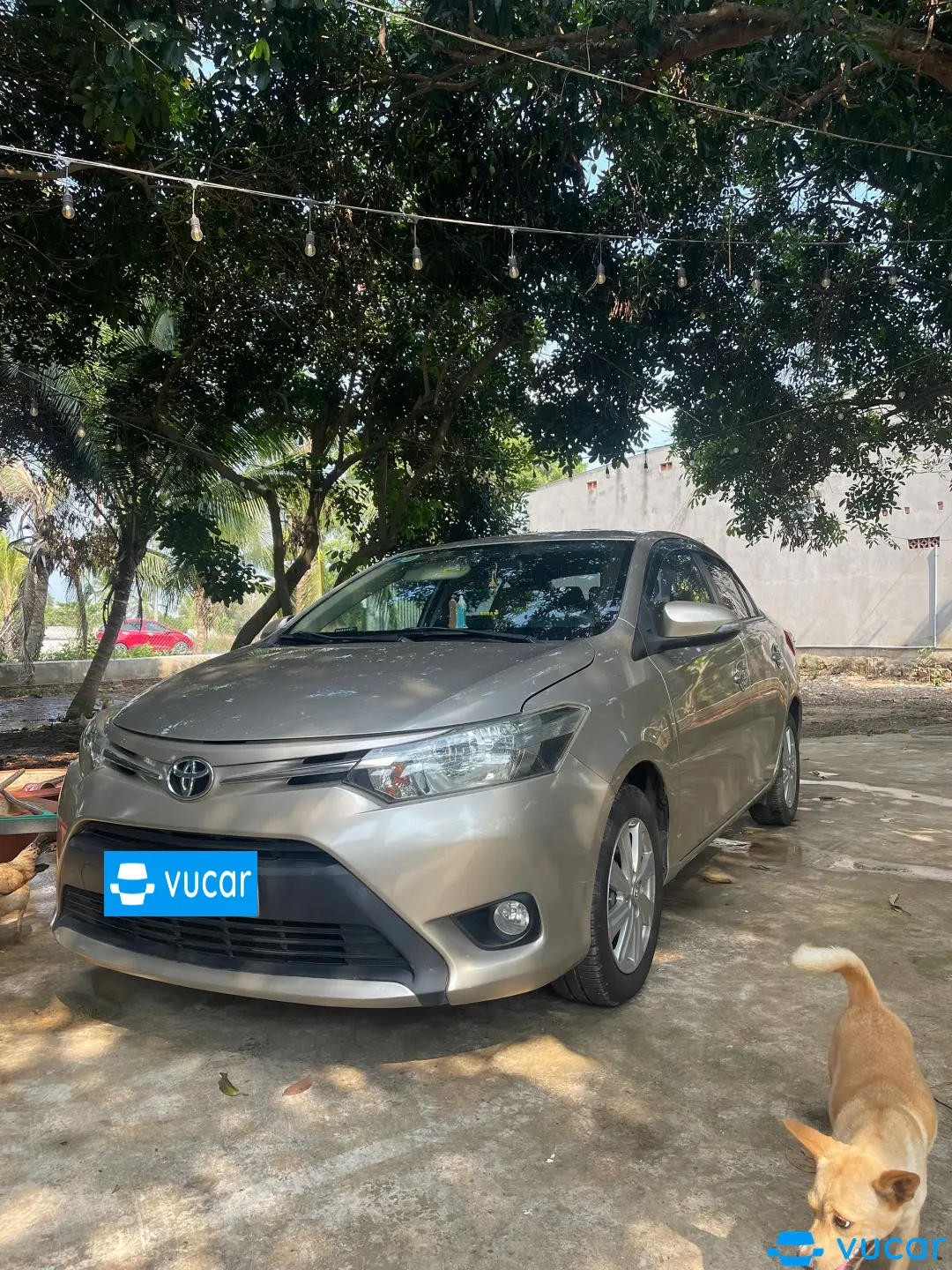 Toyota Vios 1.5E 2015 - Ngoại thất 5