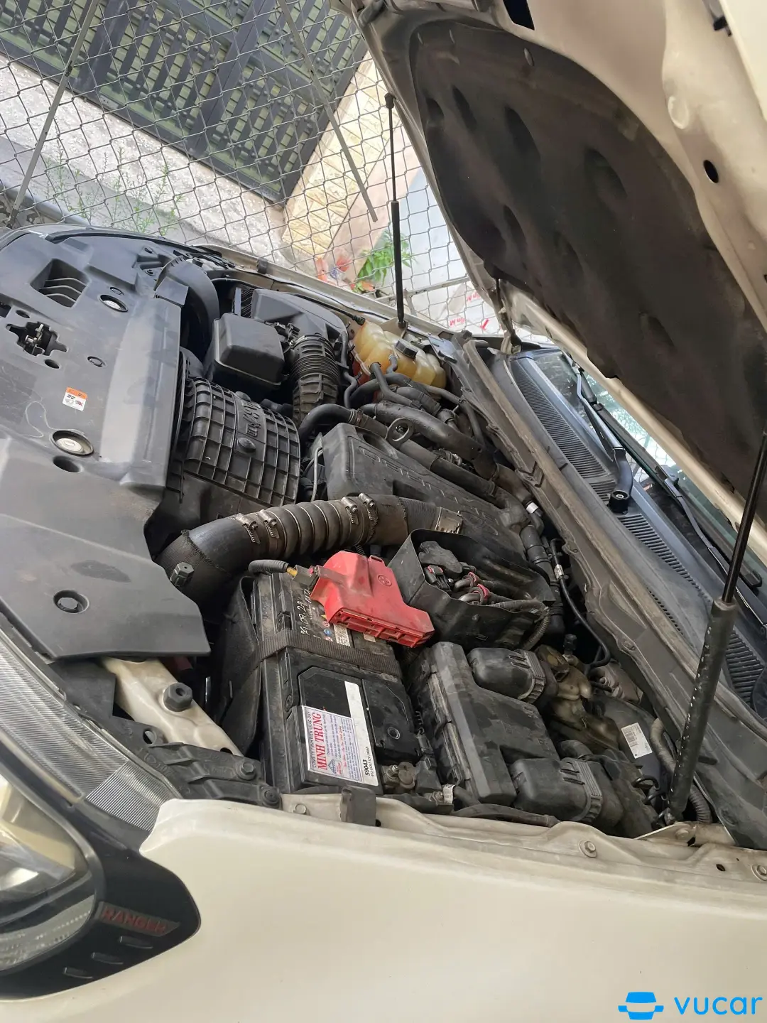 Ford Ranger Wildtrak 2.0L 4x4 AT 2019 - Khoang động cơ 2
