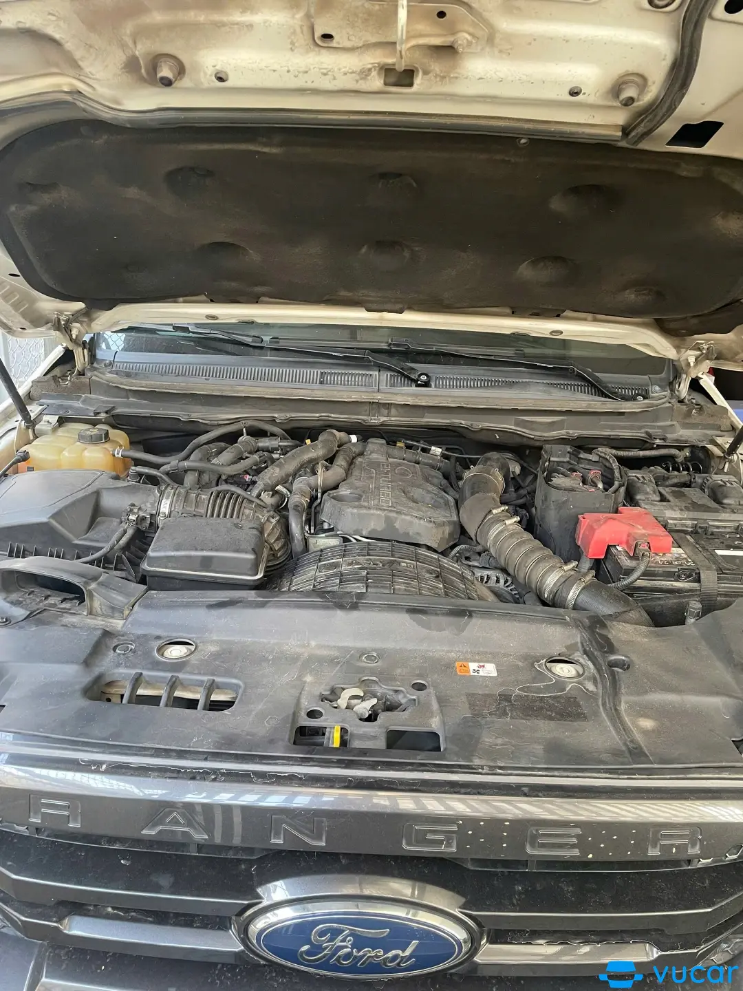 Ford Ranger Wildtrak 2.0L 4x4 AT 2019 - Khoang động cơ 1