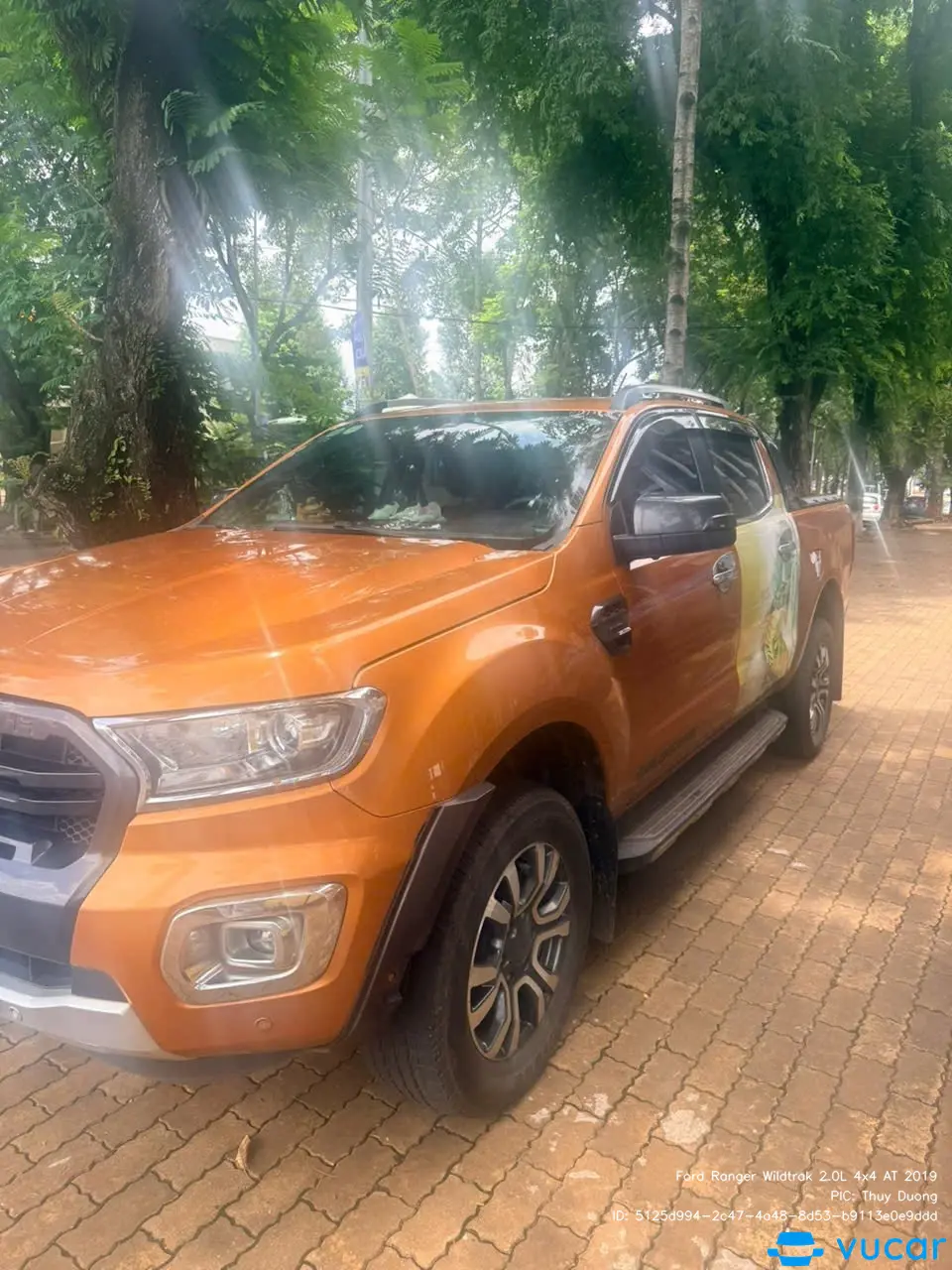 Ảnh xe Ford Ranger Wildtrak 2.0L 4x4 AT 2019 - ảnh 5