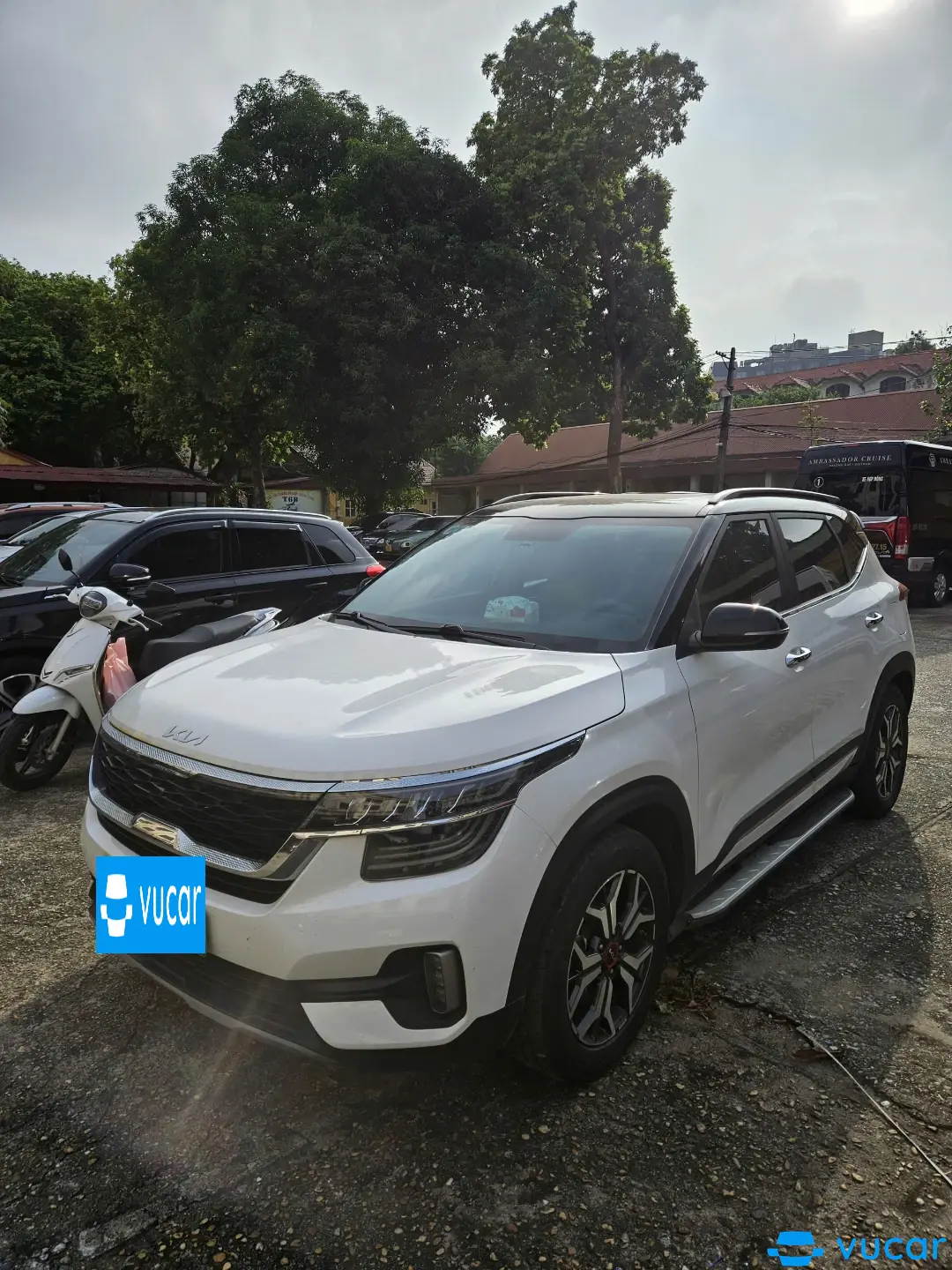 Kia Seltos Premium 1.4 AT 2022 - Ngoại thất 2