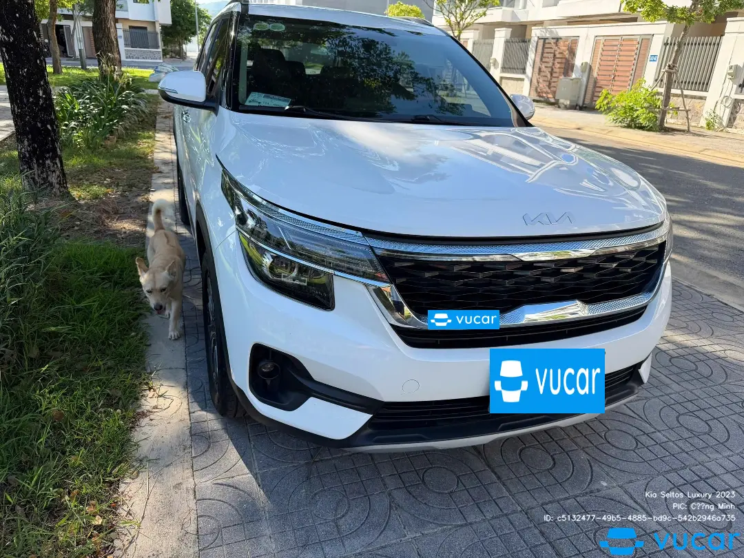 Ảnh xe Kia Seltos Luxury 2023 - ảnh 4