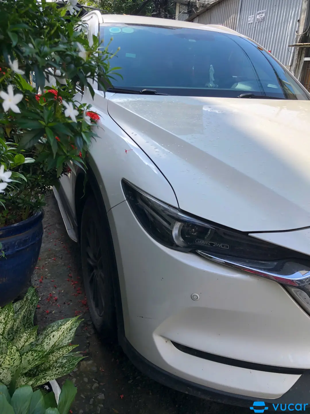 Ảnh xe Mazda Cx8 DELUXE 2022