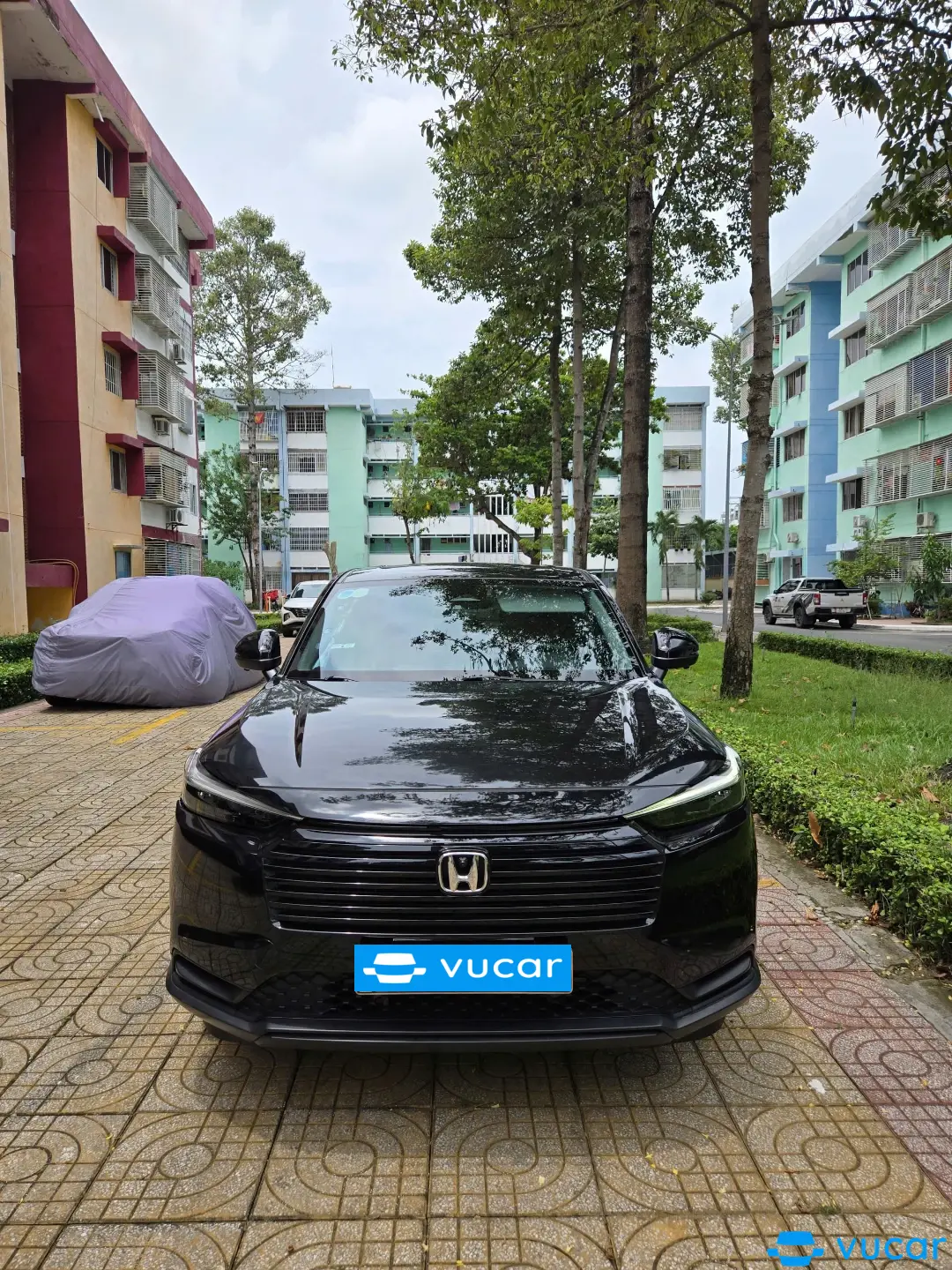 Ảnh xe Honda HRV G 2025