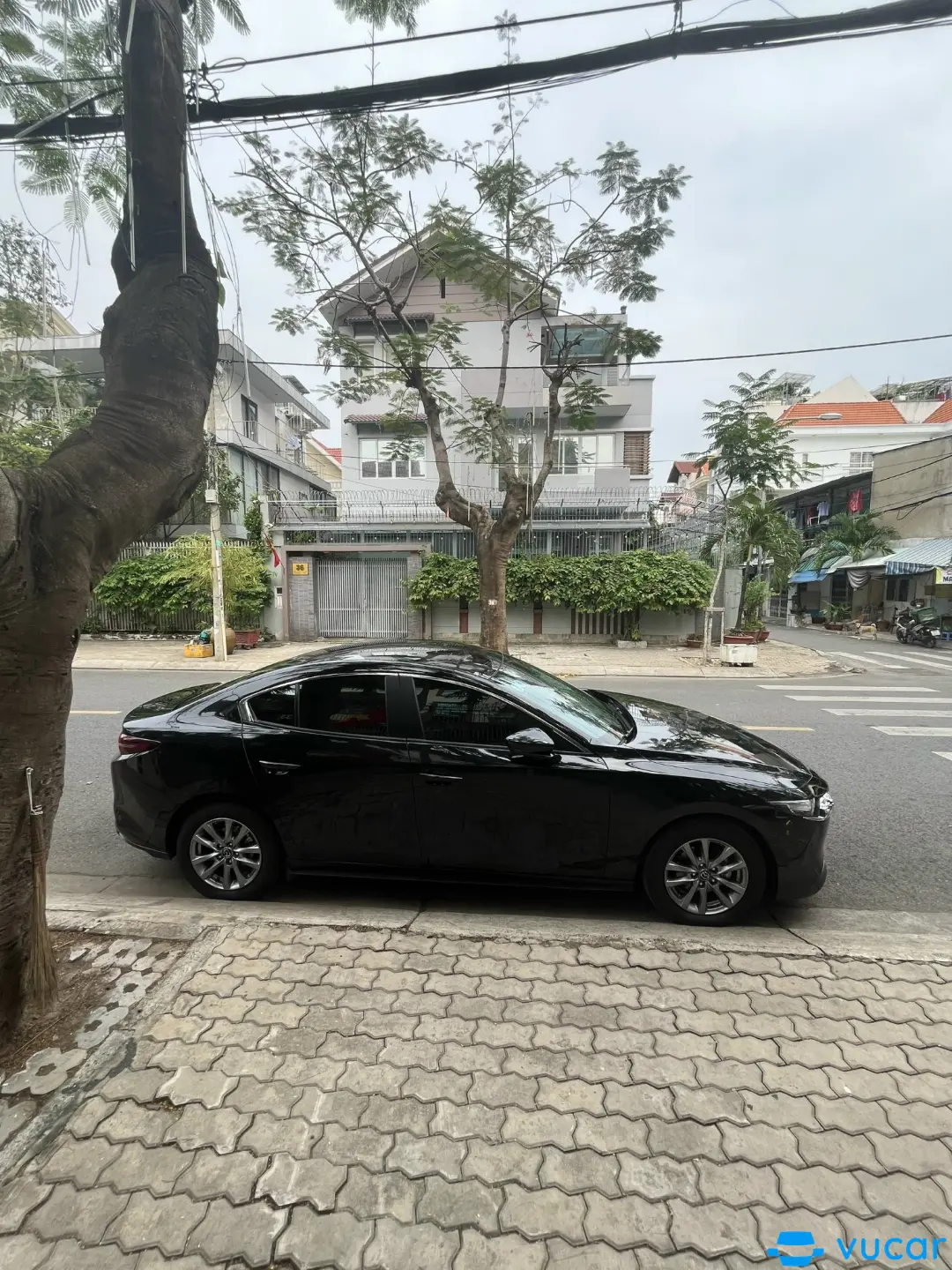 Mazda 3 1.5L Luxury 2022 - Ngoại thất 5