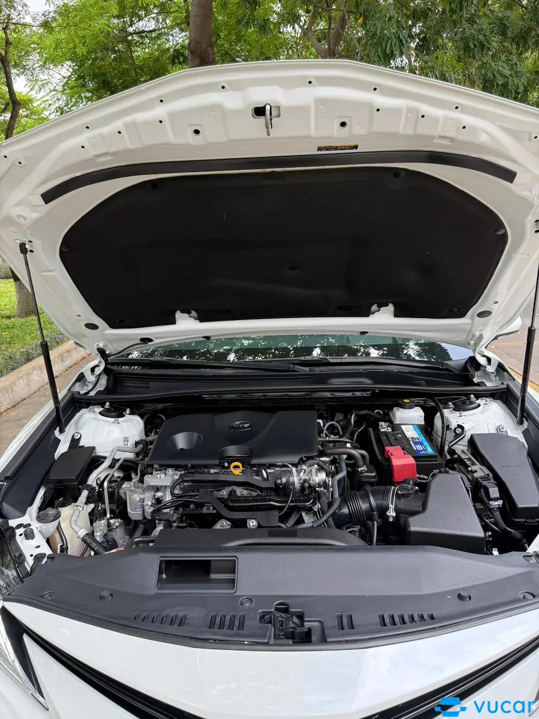Toyota Camry 2.0Q 2024 - Khoang động cơ 1