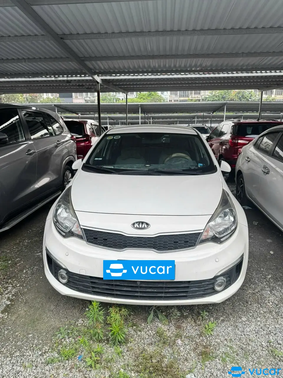 Ảnh xe KIA Rio 2016