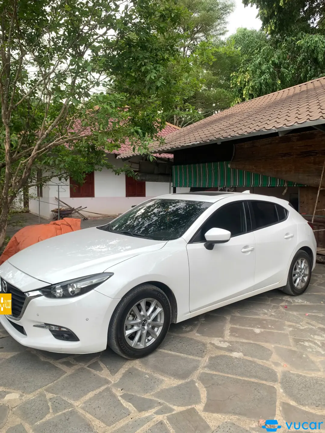 Ảnh xe Mazda 3 1.5AT Hatchback 2019