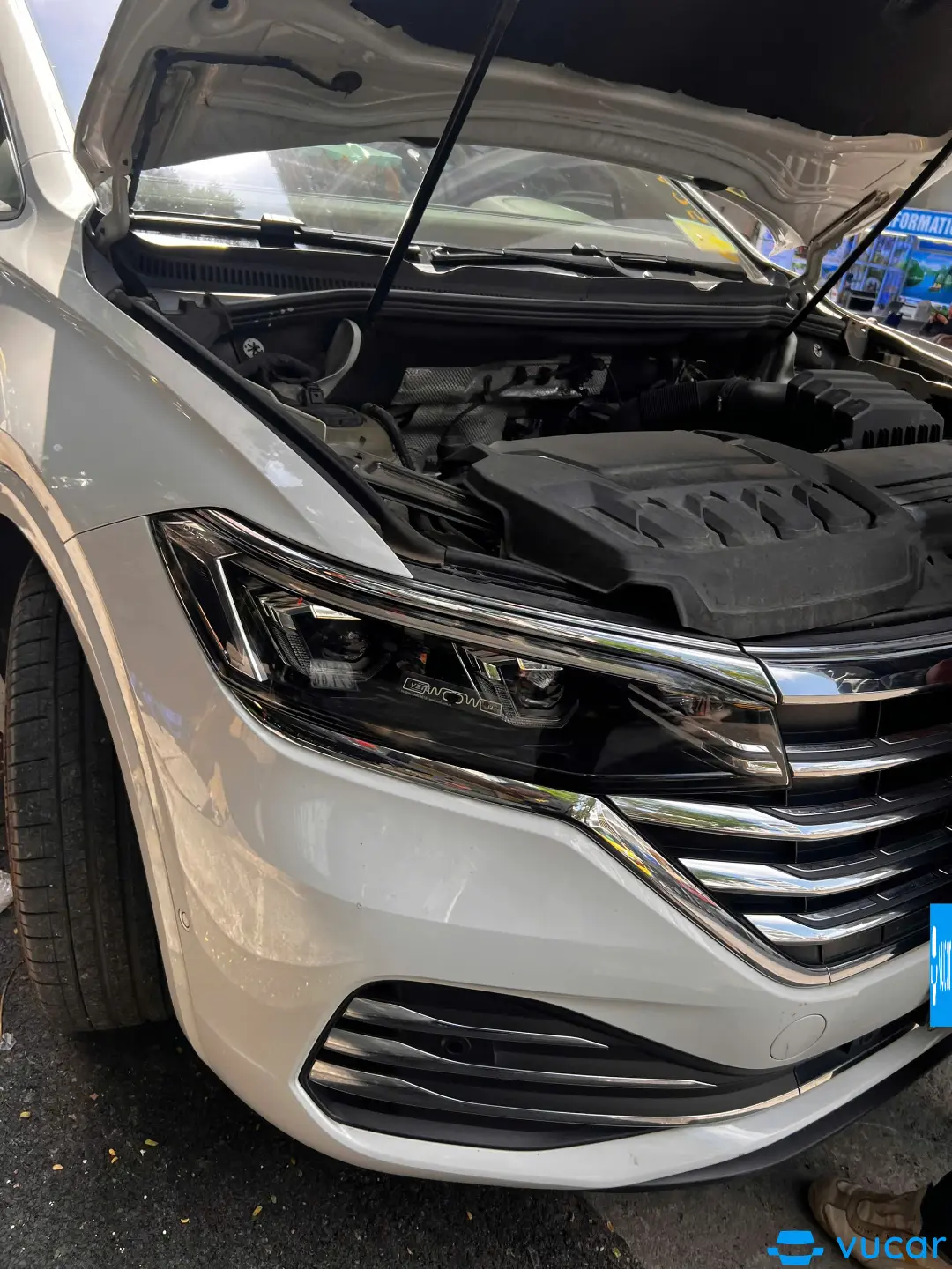 Ảnh xe Volkswagen Viloran Luxury 2024 - ảnh 5