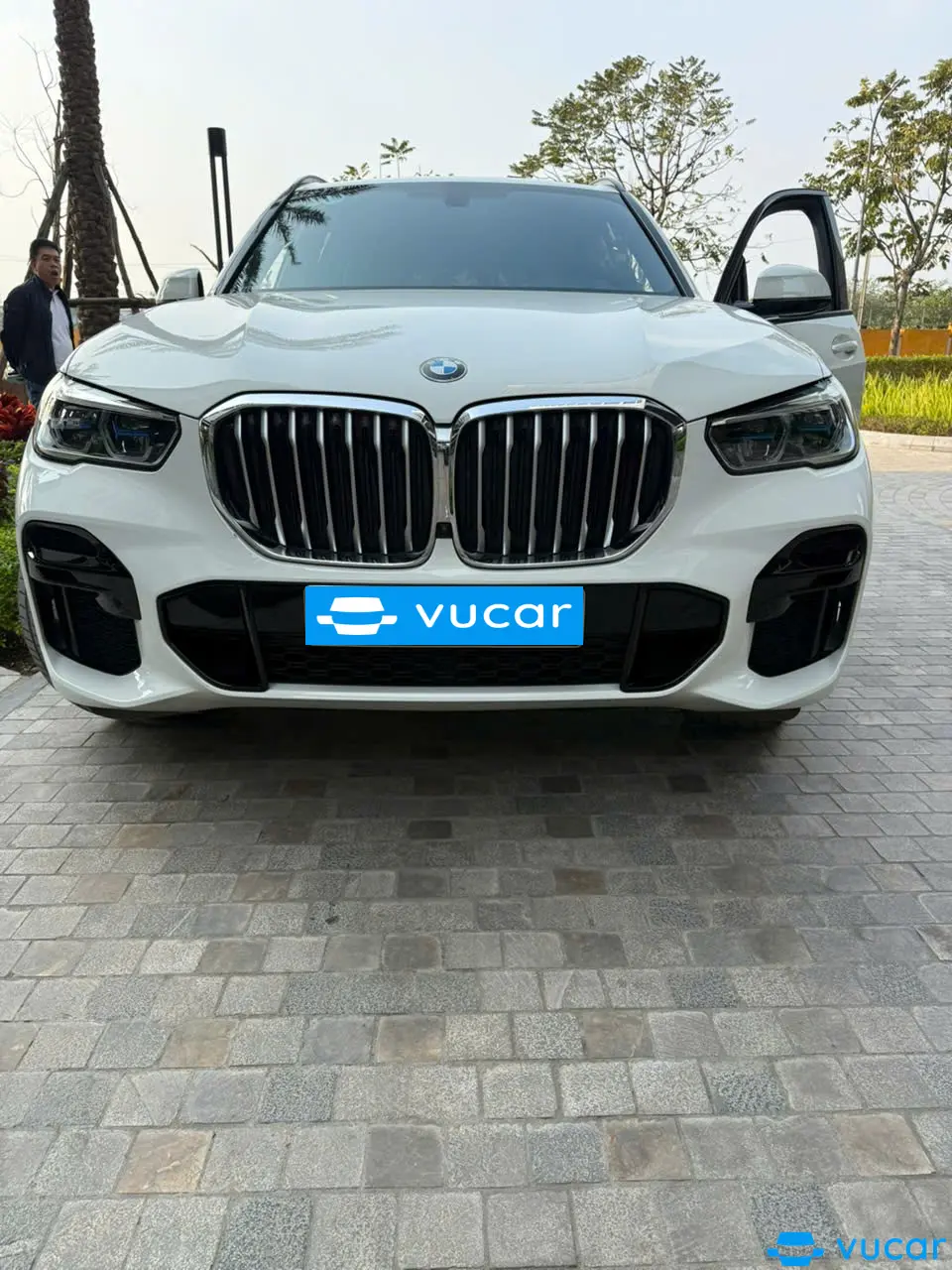 Ảnh xe BMW X5 xDrive40i M Sport 2022